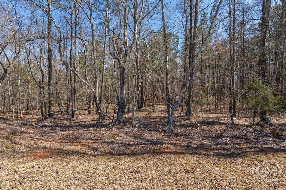 0 Kent Rock Road Property Photo 12