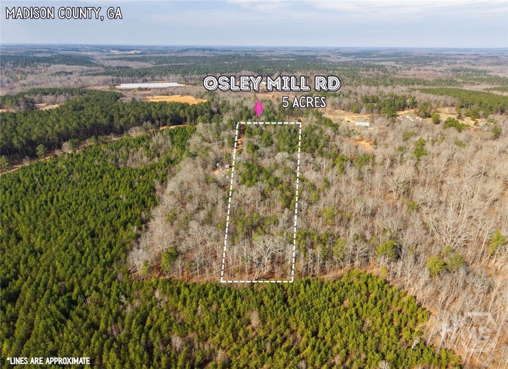2224 Osley Mill Road Property Photo 5