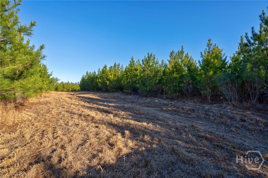 0 Lower Harmony Property Photo 5