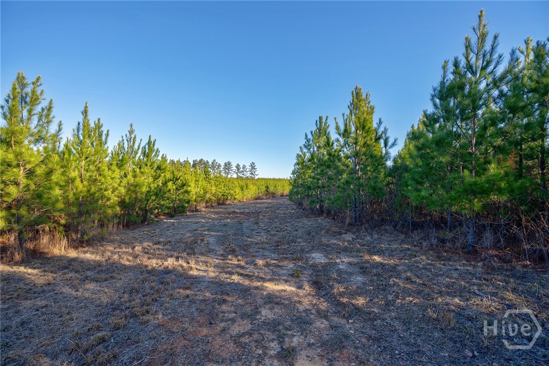 0 Lower Harmony Property Photo 6