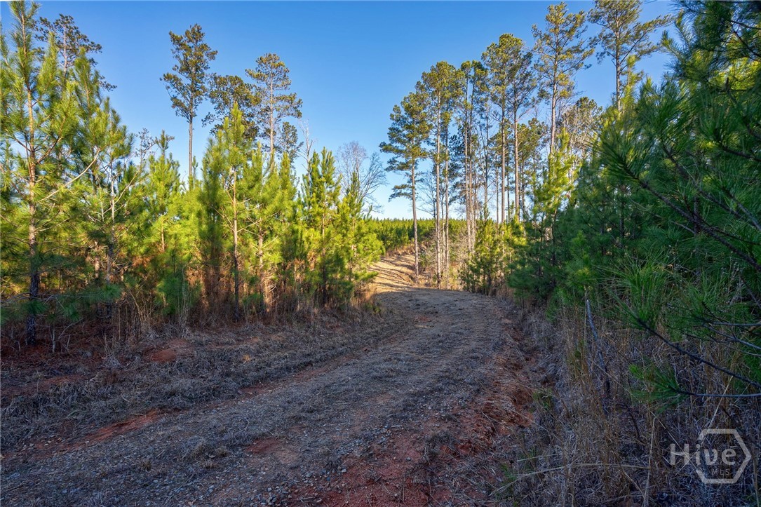 0 Lower Harmony Property Photo 10