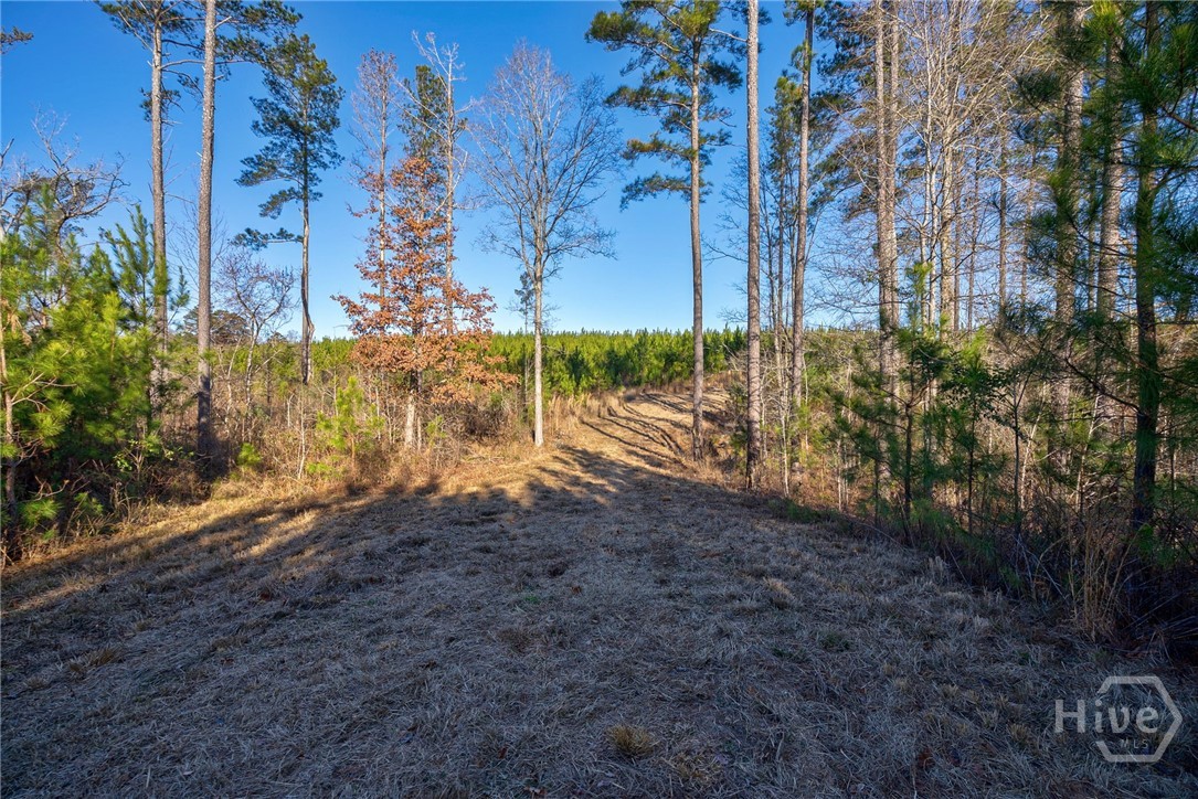 0 Lower Harmony Property Photo 11