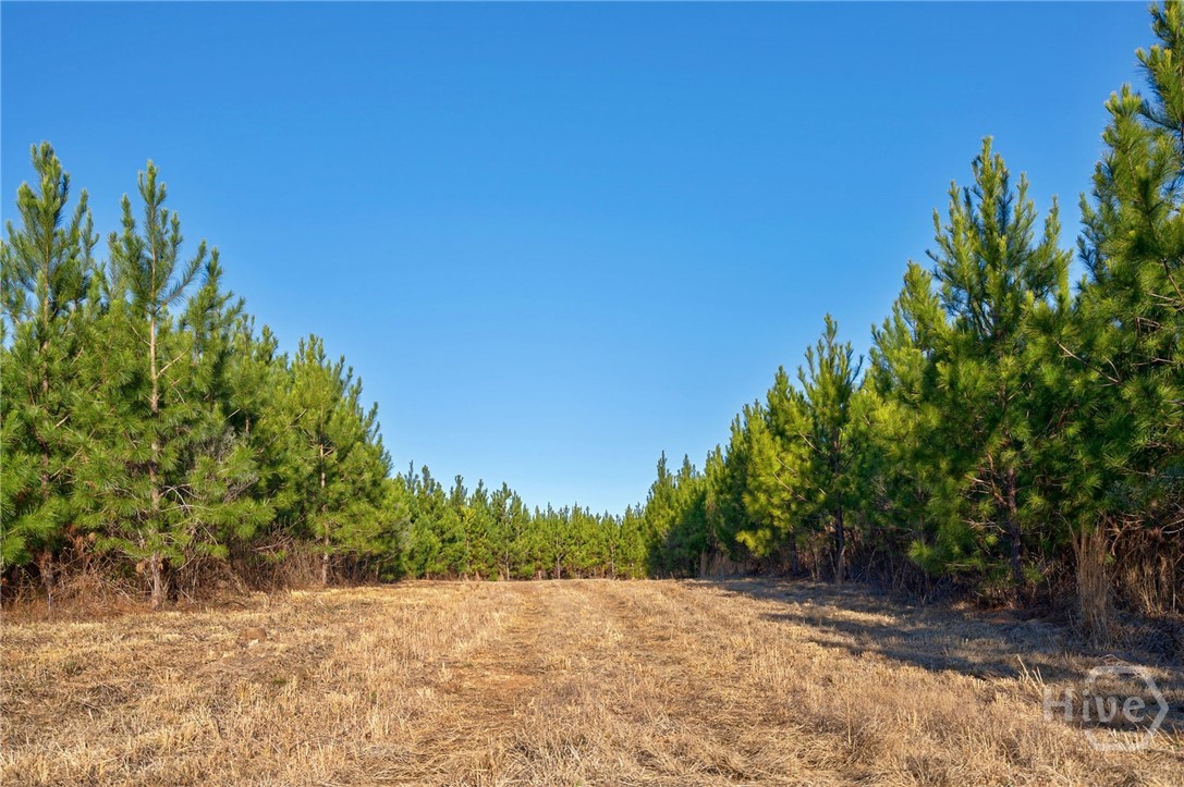 0 Lower Harmony Property Photo 14