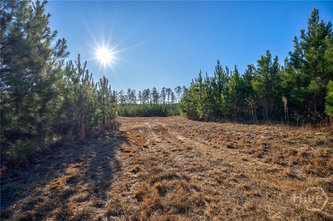 0 Lower Harmony Property Photo 15