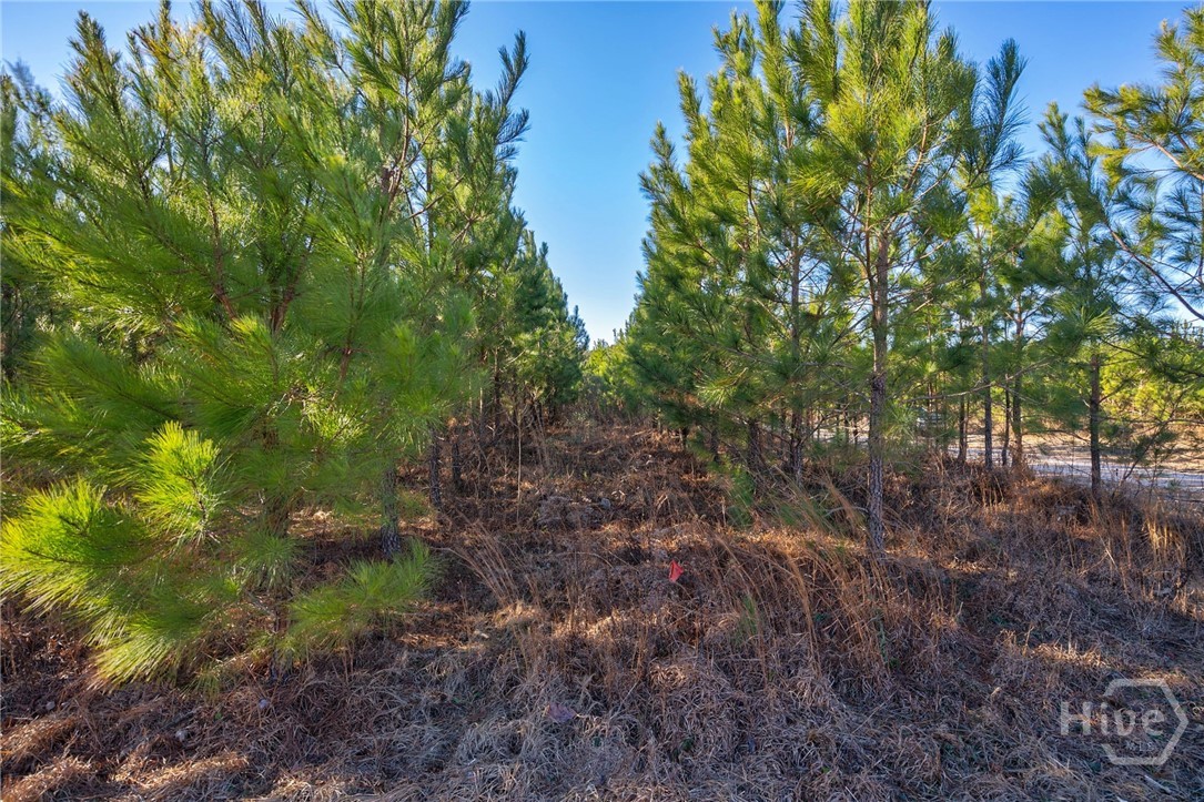 0 Lower Harmony Property Photo 16