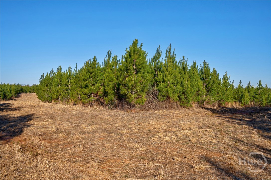 0 Lower Harmony Property Photo 18