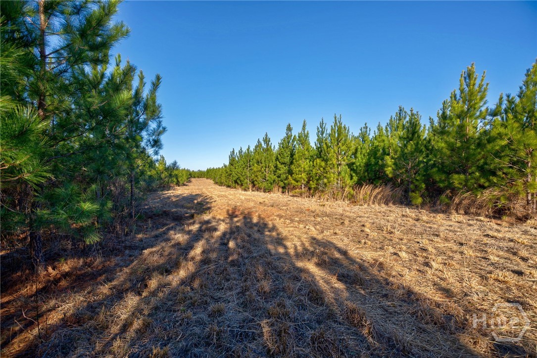 0 Lower Harmony Property Photo 19