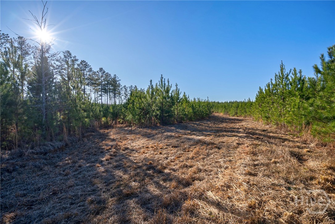 0 Lower Harmony Property Photo 21