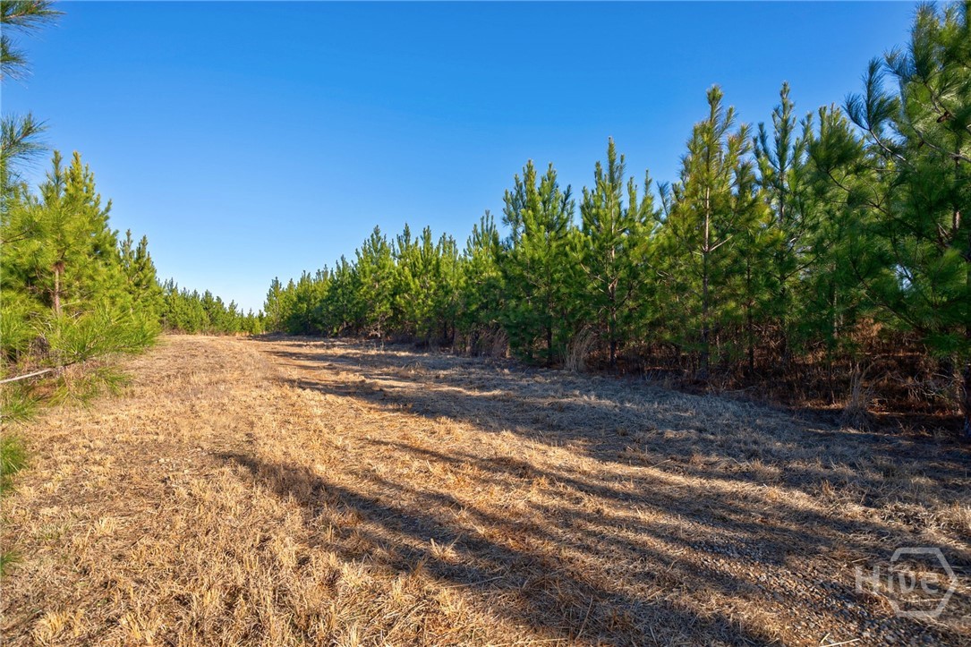 0 Lower Harmony Property Photo 22