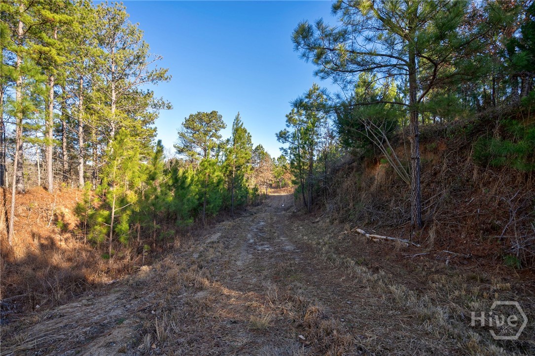 0 Lower Harmony Property Photo 25