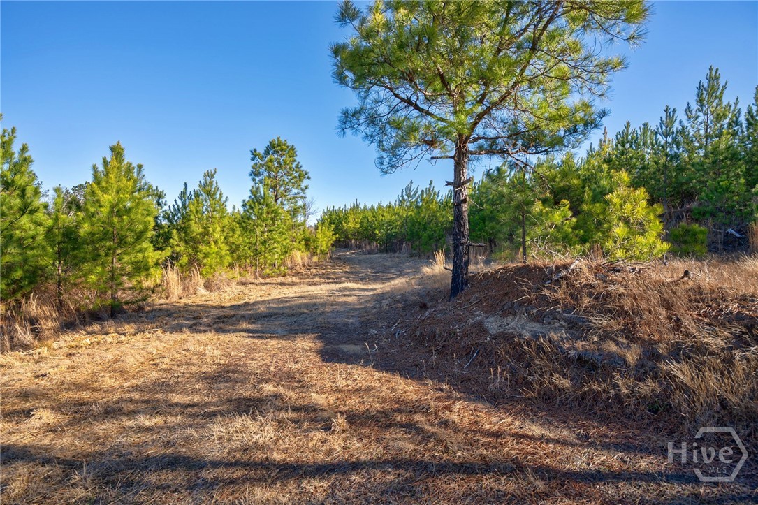 0 Lower Harmony Property Photo 26