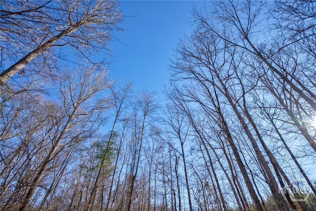0 Lower Harmony Property Photo 29