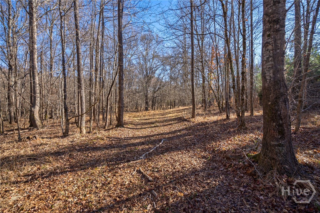 0 Lower Harmony Property Photo 30