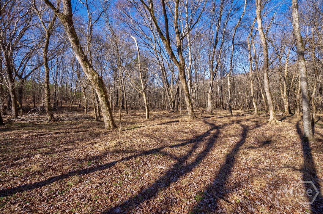 0 Lower Harmony Property Photo 36