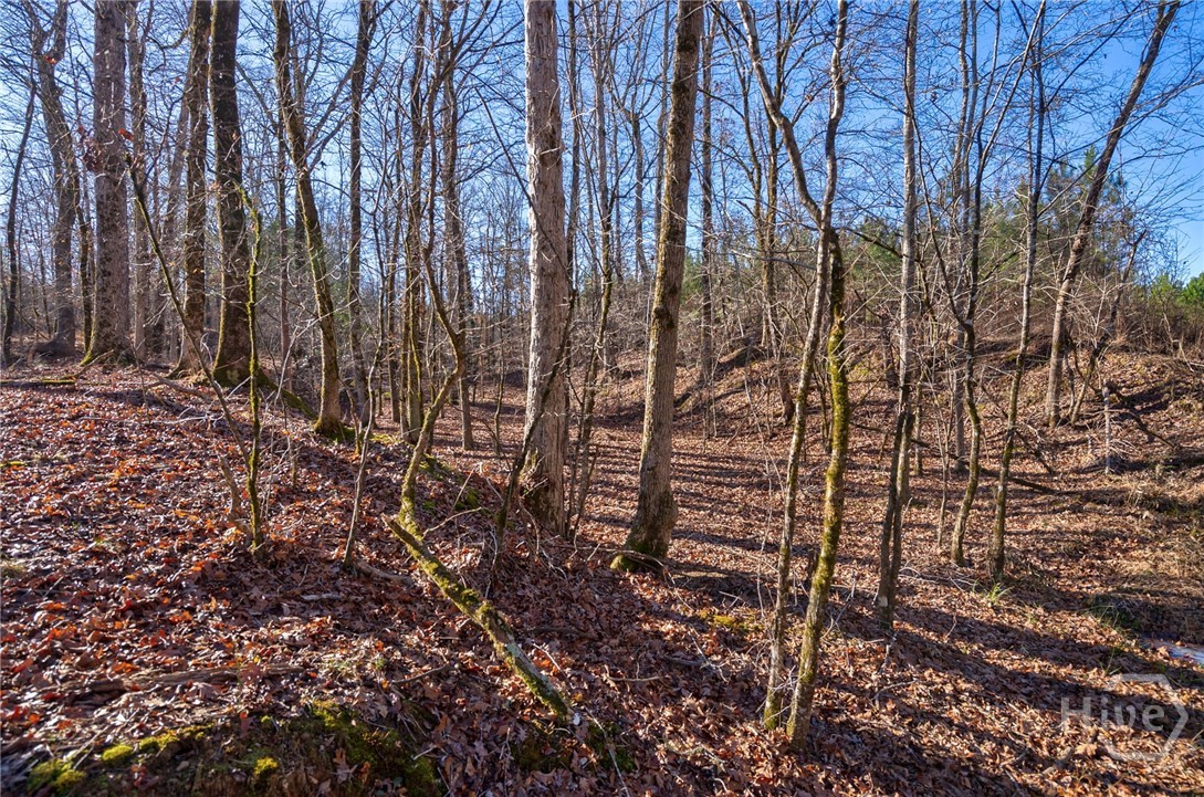 0 Lower Harmony Property Photo 37