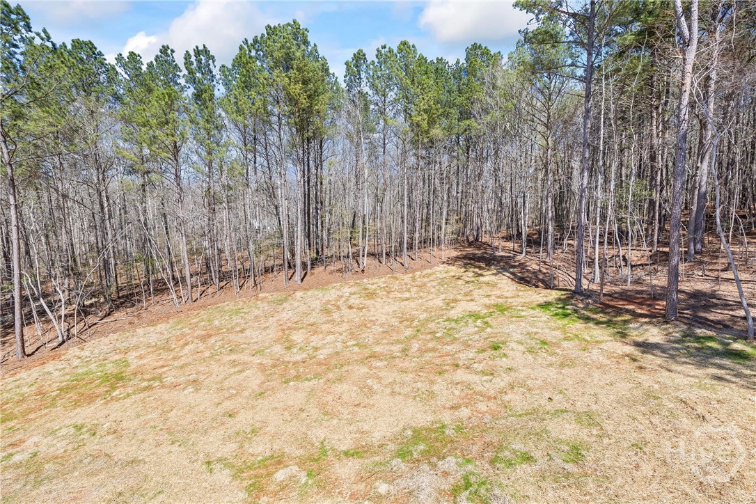 1229 Morgans Run Property Photo 44