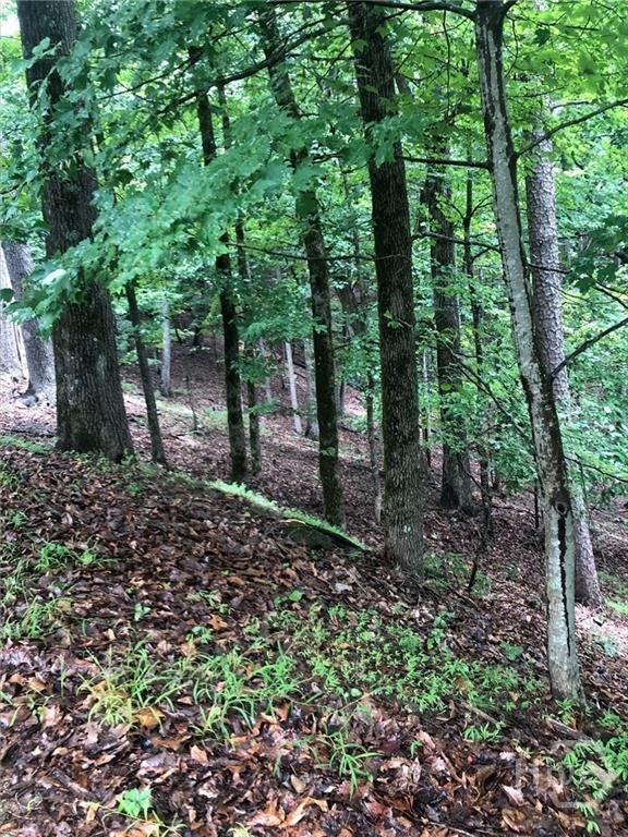 6055 Crested Iris Circle Property Photo 2