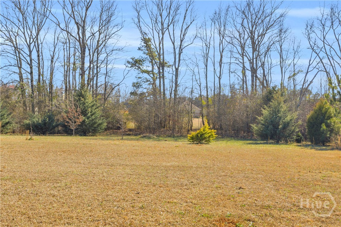 226 History Trail Property Photo 58
