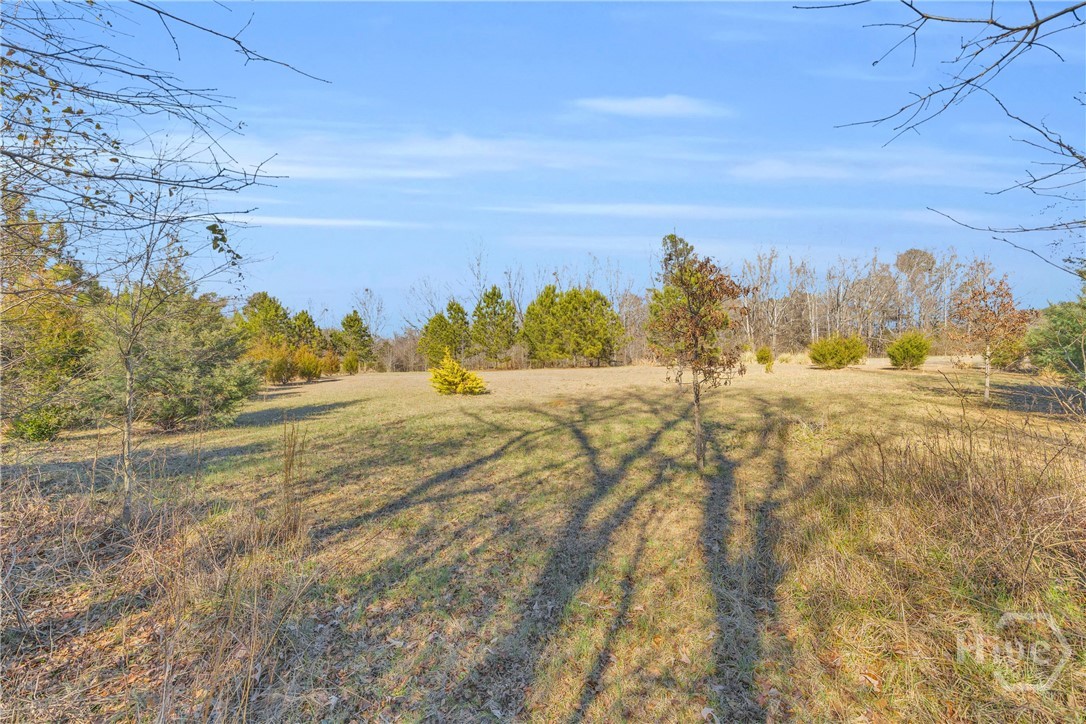 226 History Trail Property Photo 61