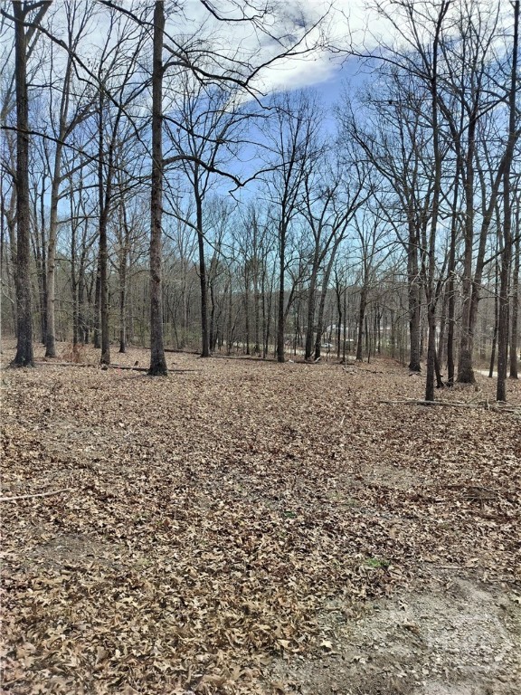 0 Hickory Log Circle Property Photo 1