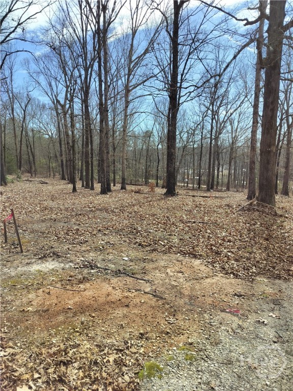 0 Hickory Log Circle Property Photo 2