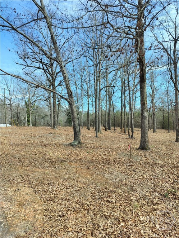 0 Hickory Log Circle Property Photo 3