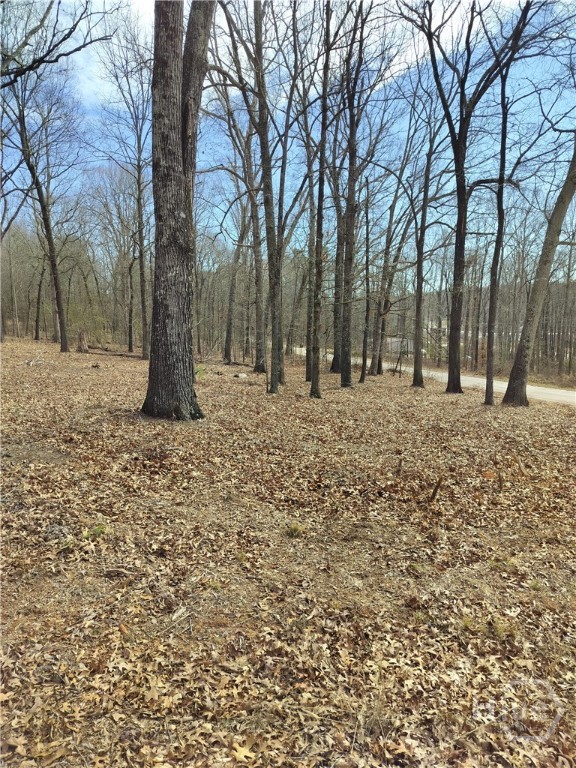 0 Hickory Log Circle Property Photo 4