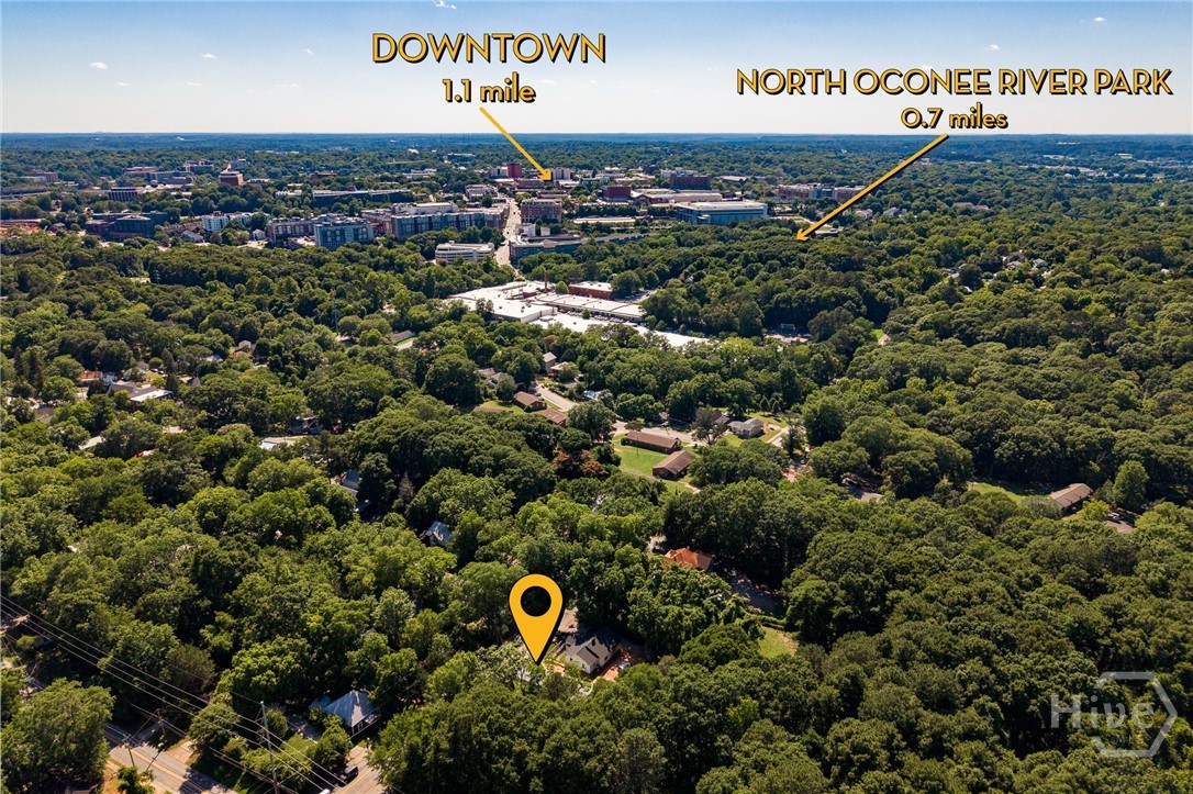 169 Vine Street Property Photo 4