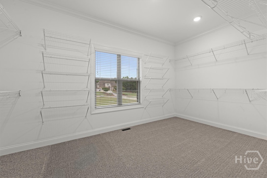 1293 Beebalm Drive Property Photo 16