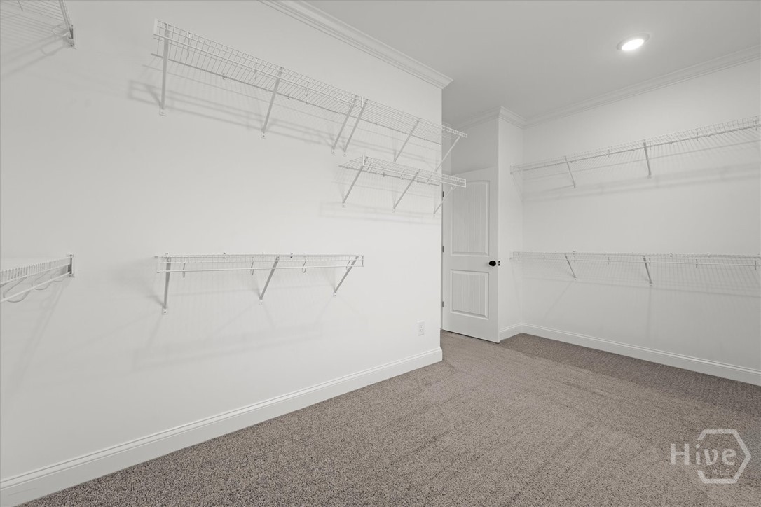 1293 Beebalm Drive Property Photo 17