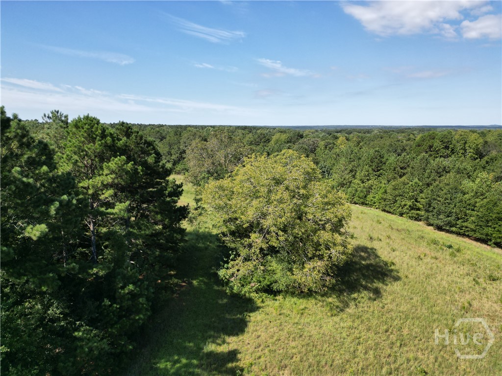 1170 Ash Road Property Photo 40