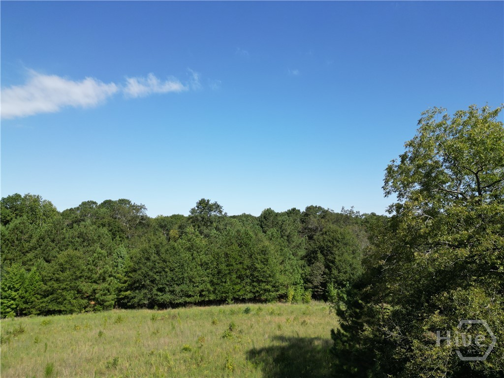 1170 Ash Road Property Photo 43