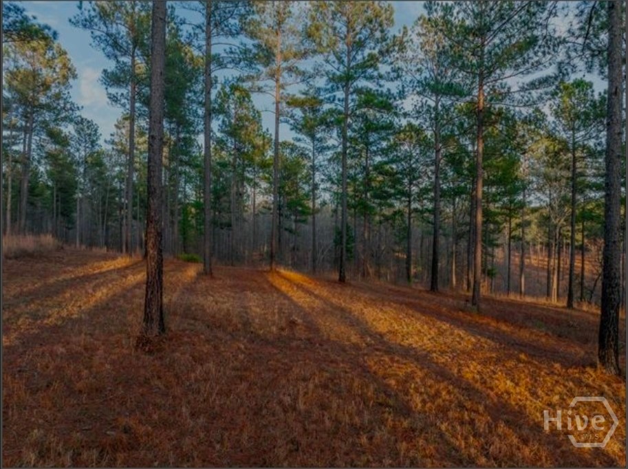 163 Overlook Drive Property Photo 2