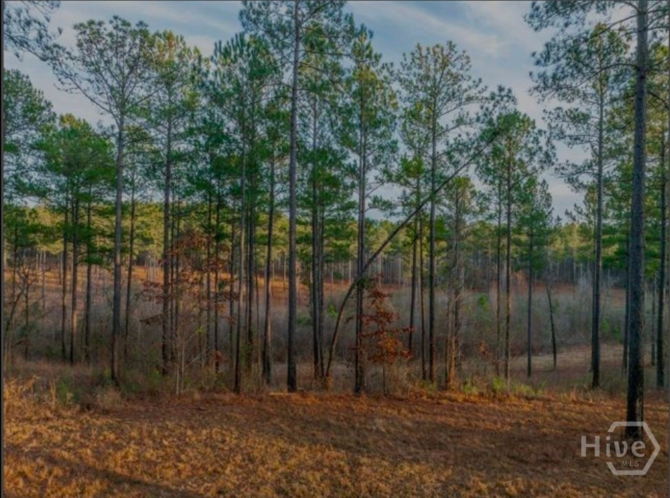 163 Overlook Drive Property Photo 7