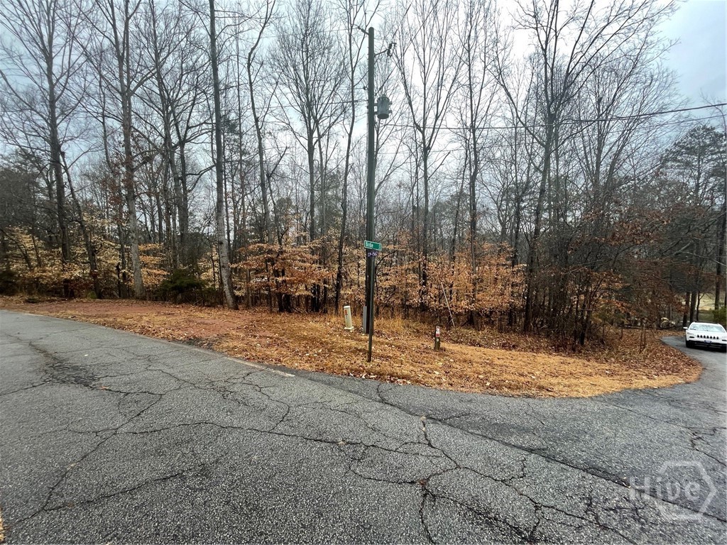 Lot 942 Birdie Court Property Photo 7