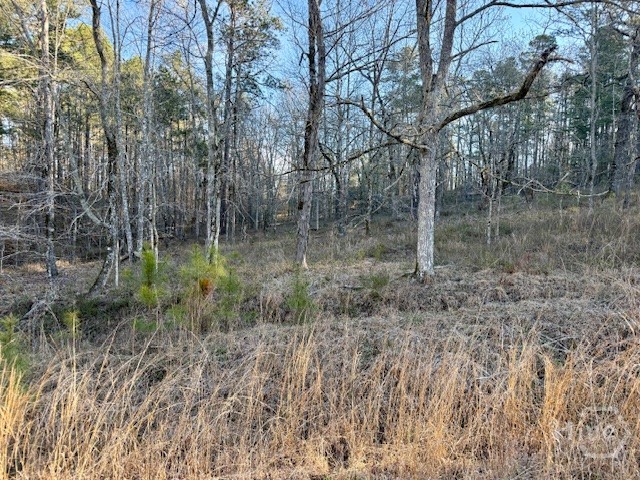 0 River Ridge Trail 396 Property Photo 1