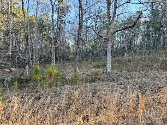 0 River Ridge Trail 396 Property Photo 2