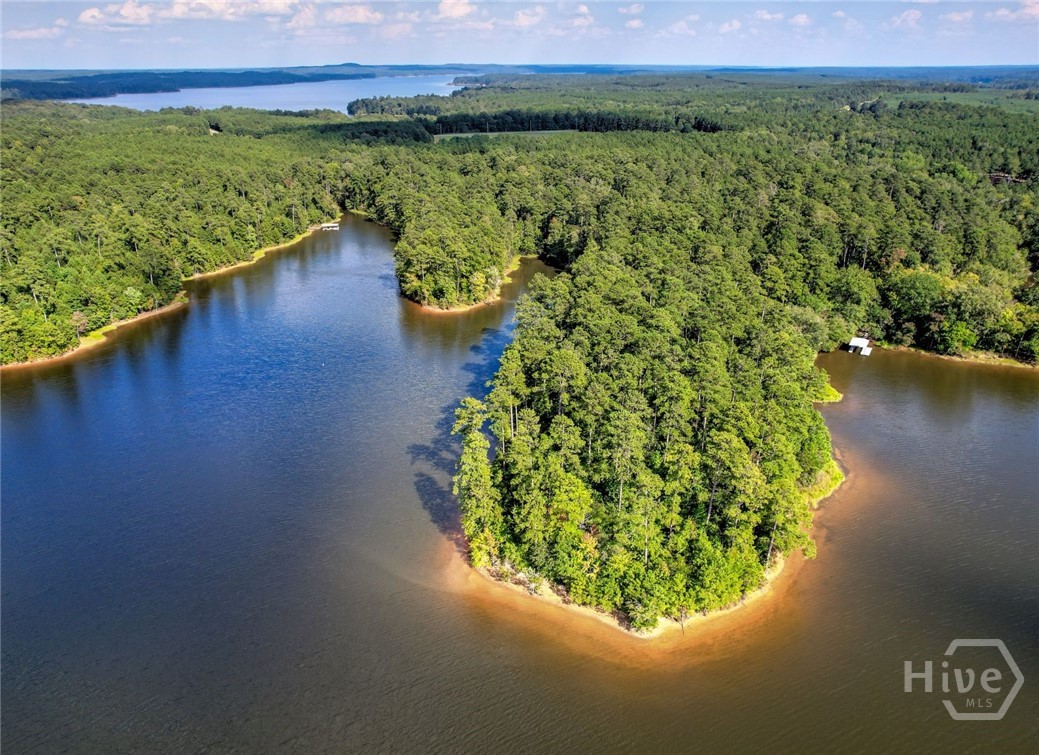 1309 Shimmering Water Cove Property Photo 2