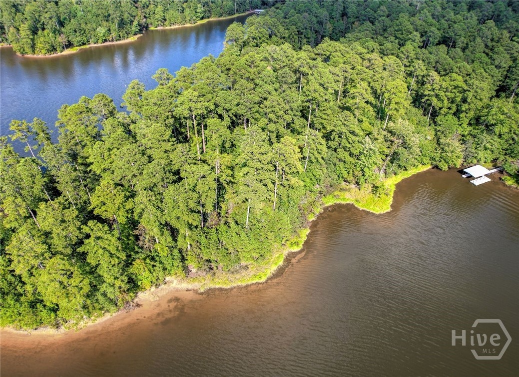 1309 Shimmering Water Cove Property Photo 3