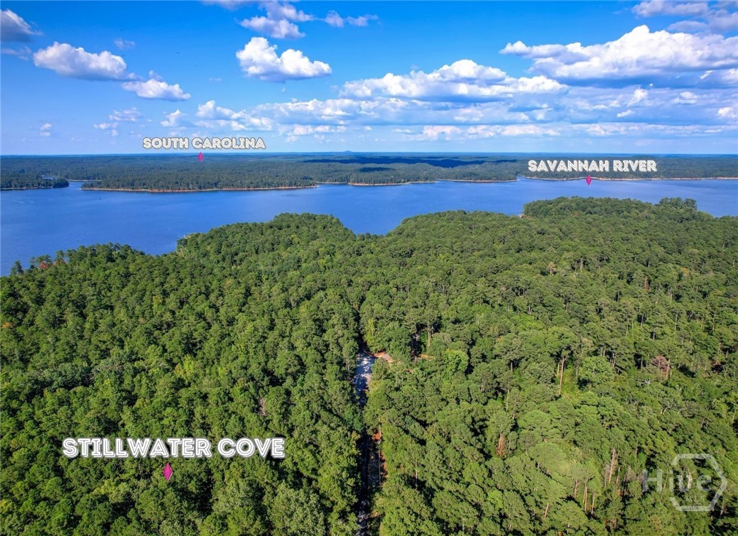 1309 Shimmering Water Cove Property Photo 6