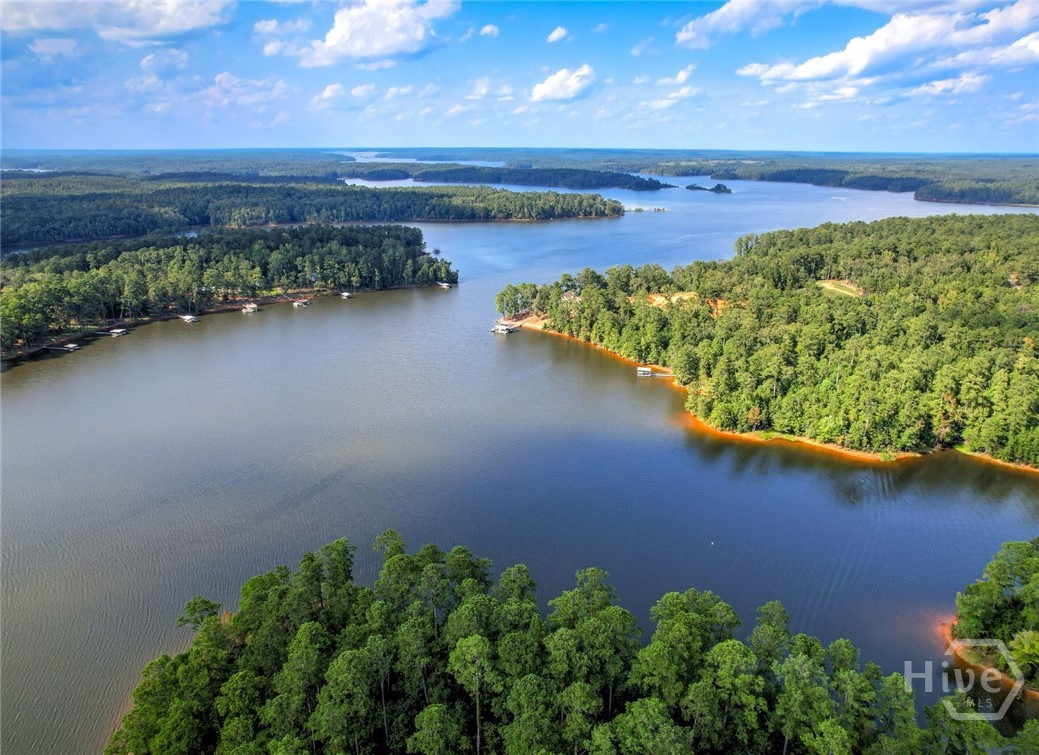 1309 Shimmering Water Cove Property Photo 12