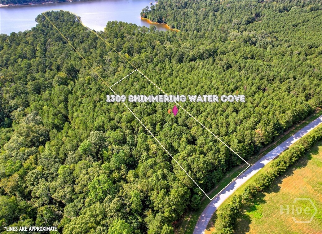 1309 Shimmering Water Cove Property Photo 14