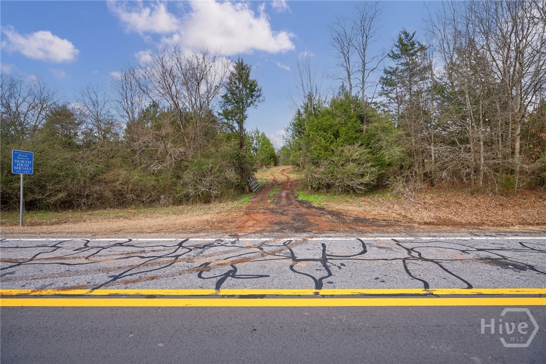 Tract 2 High Shoals Road Property Photo 20