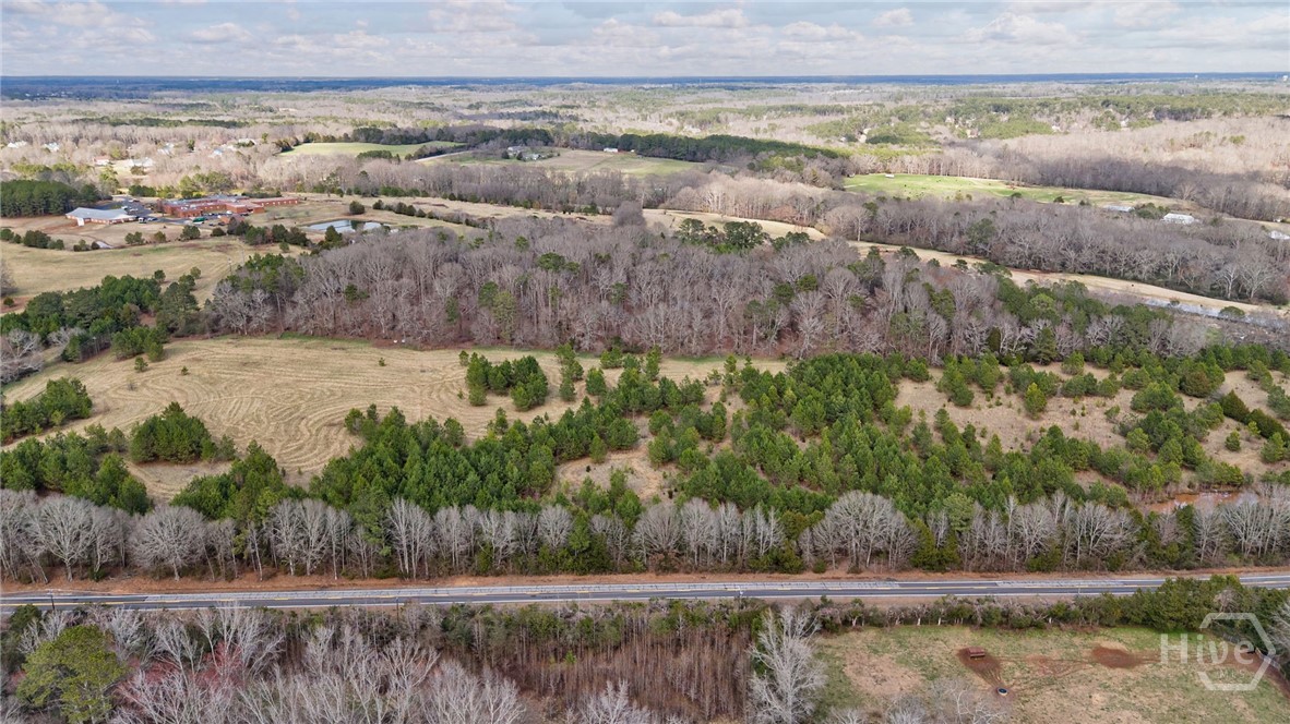 Tract 2 High Shoals Road Property Photo 28