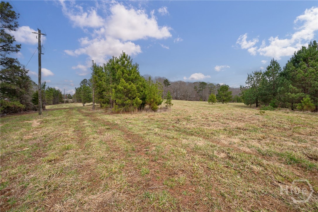 Tract 3 High Shoals Road Property Photo 1