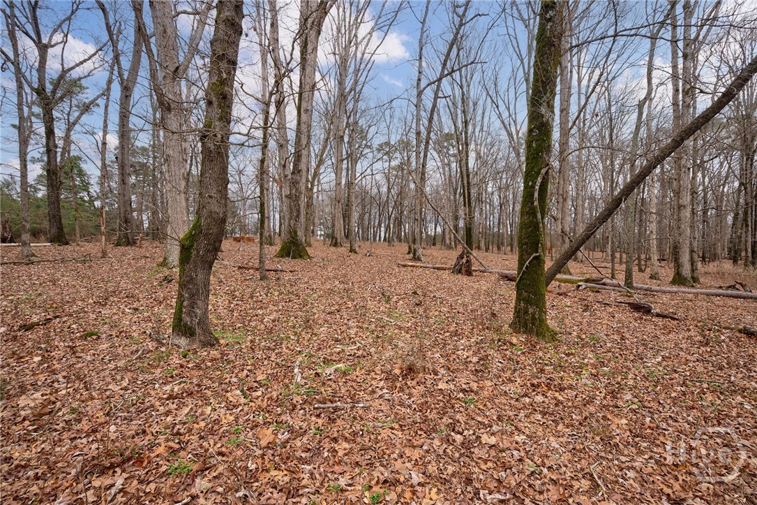 Tract 3 High Shoals Road Property Photo 2