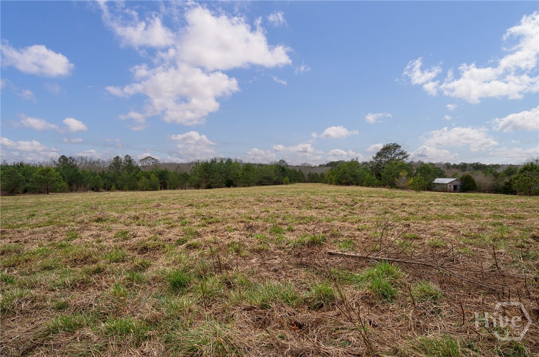 Tract 3 High Shoals Road Property Photo 3
