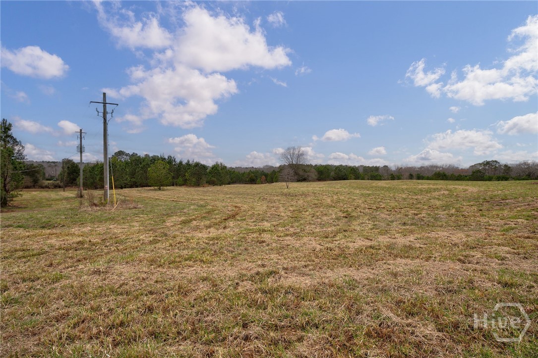 Tract 3 High Shoals Road Property Photo 4