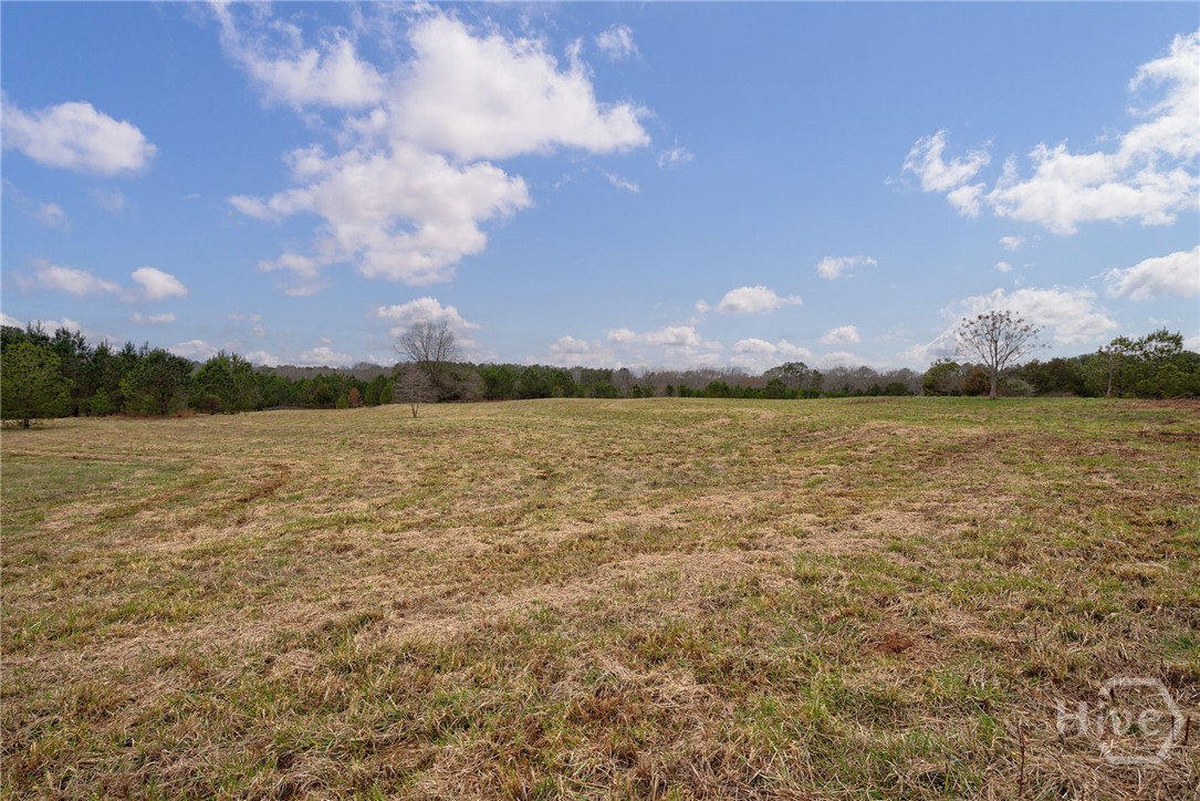 Tract 3 High Shoals Road Property Photo 5