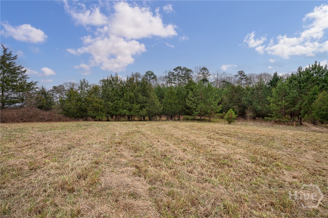 Tract 3 High Shoals Road Property Photo 6
